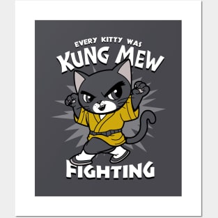 Funny Retro 70's Cat Doing Kung fu Martial Arts Funny Meme Posters and Art